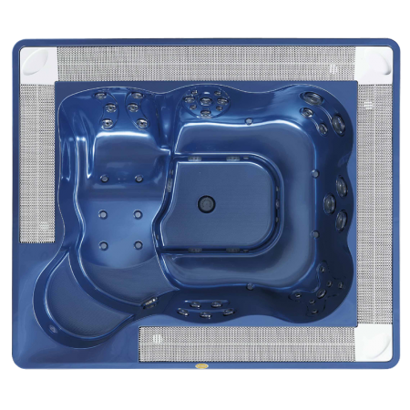 Спа бассейн Jacuzzi Virginia Professional